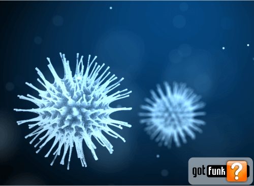 coronavirus